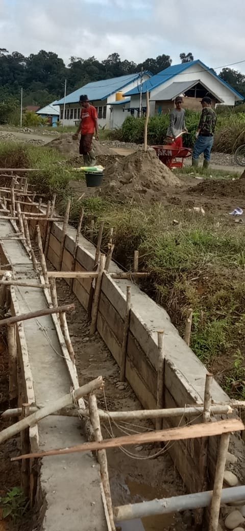 DOKUMENTASI SIRING DAN DRAINASE