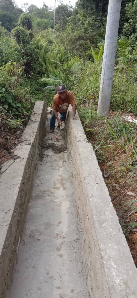 DOKUMENTASI SIRING DAN DRAINASE