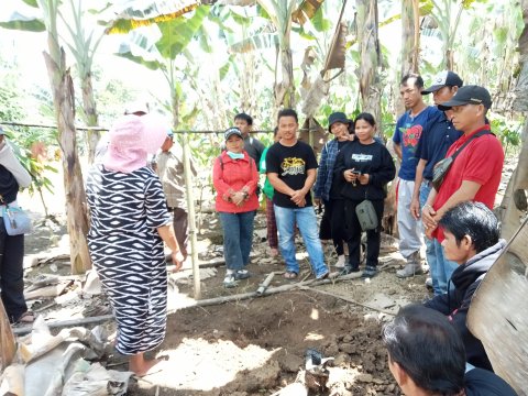 PELATIHAN BUDIDAYA KAKAO