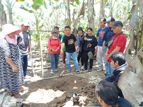 PELATIHAN BUDIDAYA KAKAO