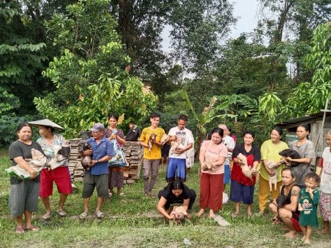 PEMBERIAN BANTUAN BIBIT TERNAK