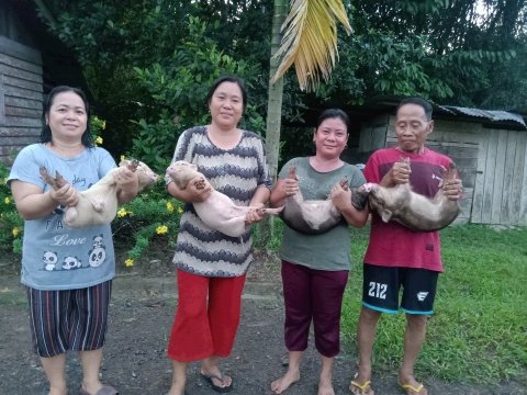 PEMBERIAN BANTUAN BIBIT TERNAK